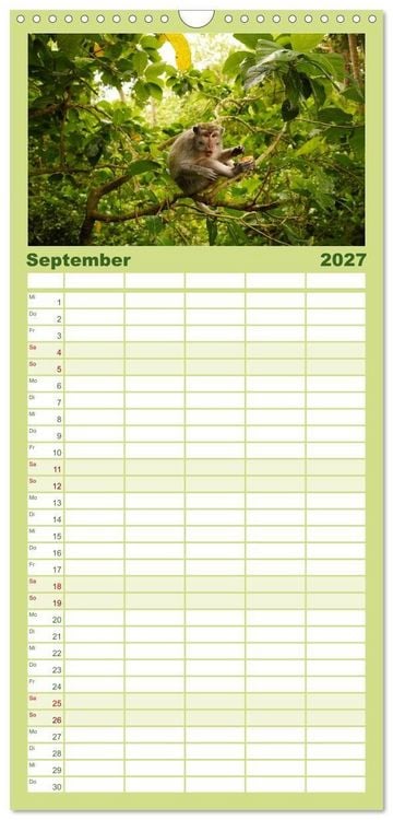 Produktbild: Familienplaner 2027 - S&uuml;dostasien - Thailand, Philippinen, Bali mit 5 Spalten (Wandkalender, 21 x 45 cm) CALVENDO
