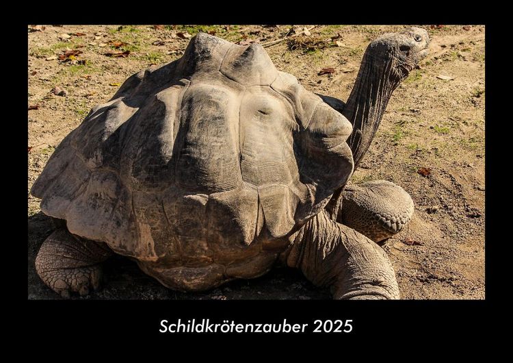 Produktbild: Schildkr&ouml;tenzauber 2025 Fotokalender DIN A3