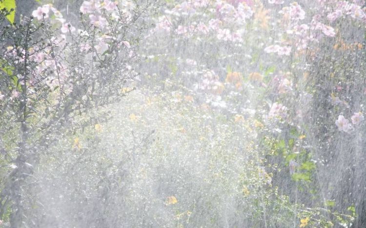 Produktbild: Gardena - Spr&uuml;hschlauch - 15 m - in verschiedenen