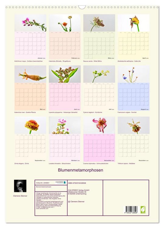 Produktbild: Blumenmetamorphosen (Wandkalender 2026 DIN A2 hoch), CALVENDO Monatskalender