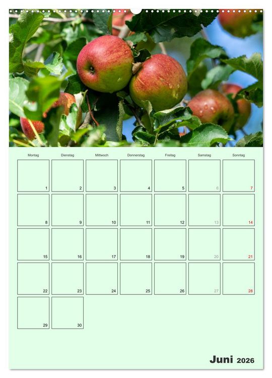 Produktbild: Obst Kalender - GESUND DURCH DAS JAHR (hochwertiger Premium Wandkalender 2026 DIN A2 hoch), Kunstdruck in Hochglanz