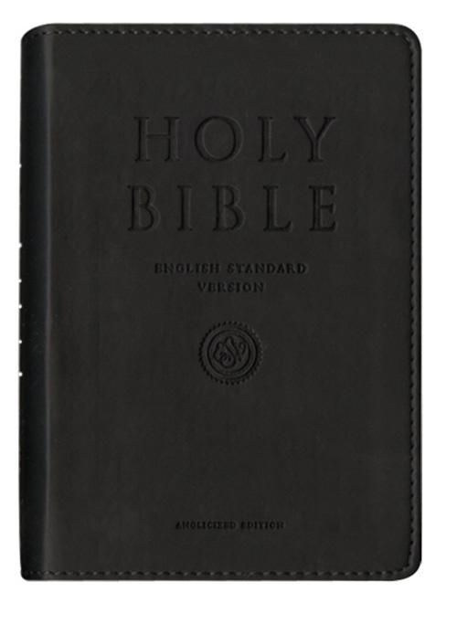 Produktbild: Holy Bible