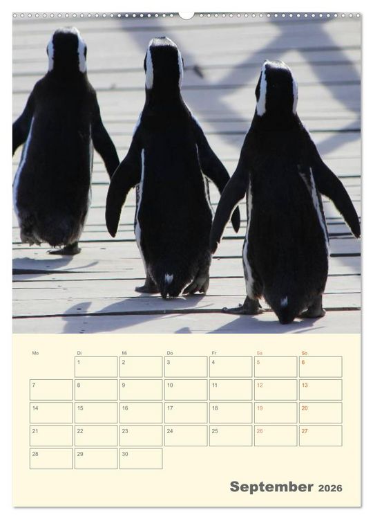 Produktbild: Mit Pinguinen durch das Jahr (Wandkalender 2026 DIN A2 hoch), CALVENDO Monatskalender