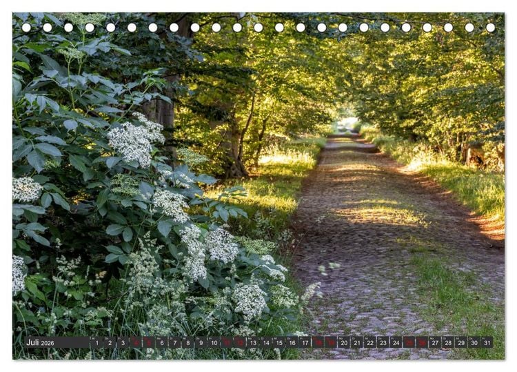 Produktbild: R&uuml;gen - Inseltraumblicke (Tischkalender 2026 DIN A5 quer), CALVENDO Monatskalender