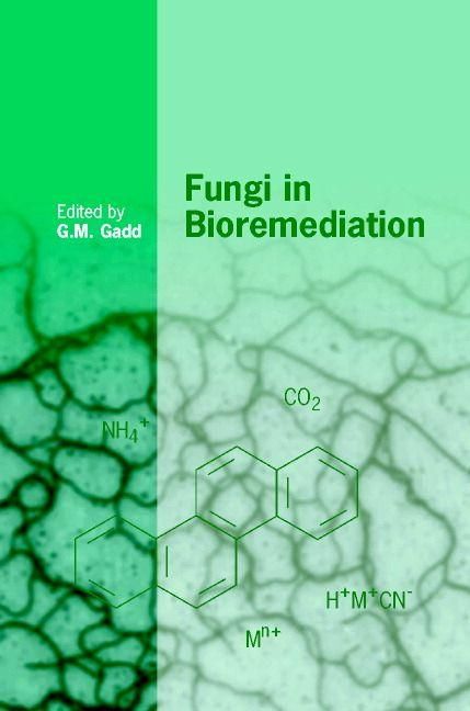 Produktbild: Fungi in Bioremediation