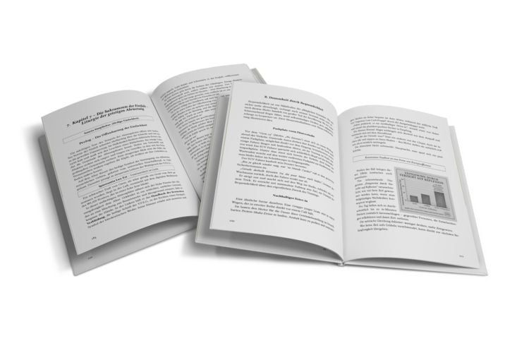 Produktbild: V.F.E.G. &ndash; Handbuch der bewussten Verbl&ouml;dung &ndash; Band 1