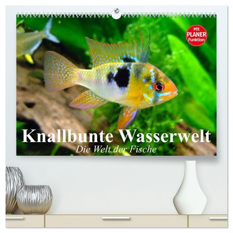 Produktbild: Knallbunte Wasserwelt. Die Welt der Fische (hochwertiger Premium Wandkalender 2026 DIN A2 quer), Kunstdruck in Hochglanz