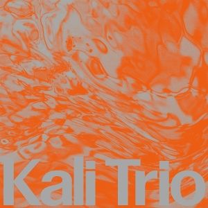 Produktbild: The Playful Abstract (LP)