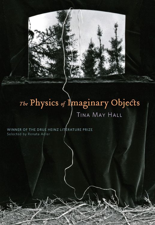 Produktbild: The Physics of Imaginary Objects