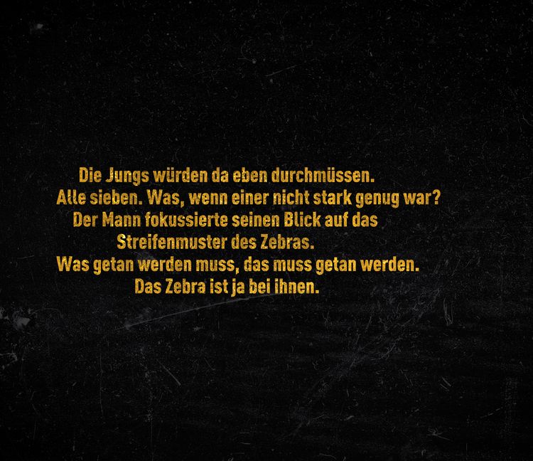Produktbild: Im Auge des Zebras