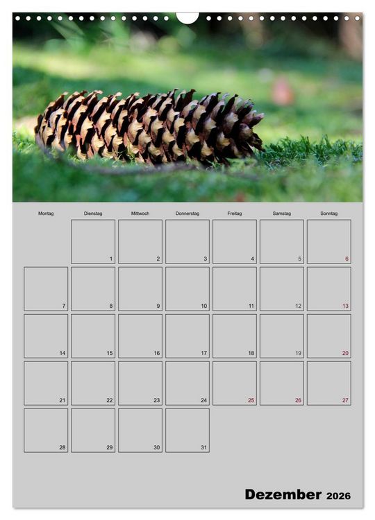 Produktbild: Zeitgewinn (Mein Terminplaner) (Wandkalender 2026 DIN A3 hoch), CALVENDO Monatskalender