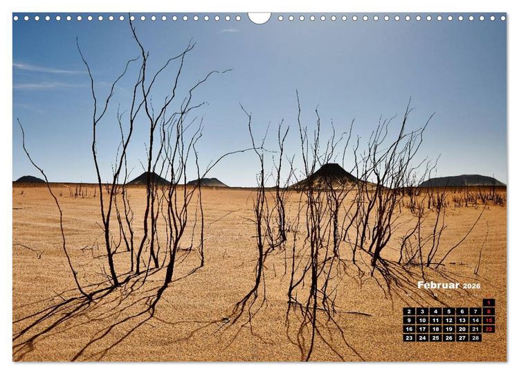 Produktbild: &Auml;gypten &ndash; westliche W&uuml;sten (Wandkalender 2026 DIN A3 quer), CALVENDO Monatskalender