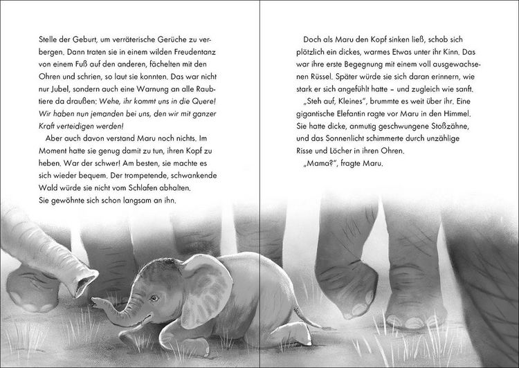 Produktbild: Das geheime Leben der Tiere (Savanne) - Maru - Die Reise der Elefanten