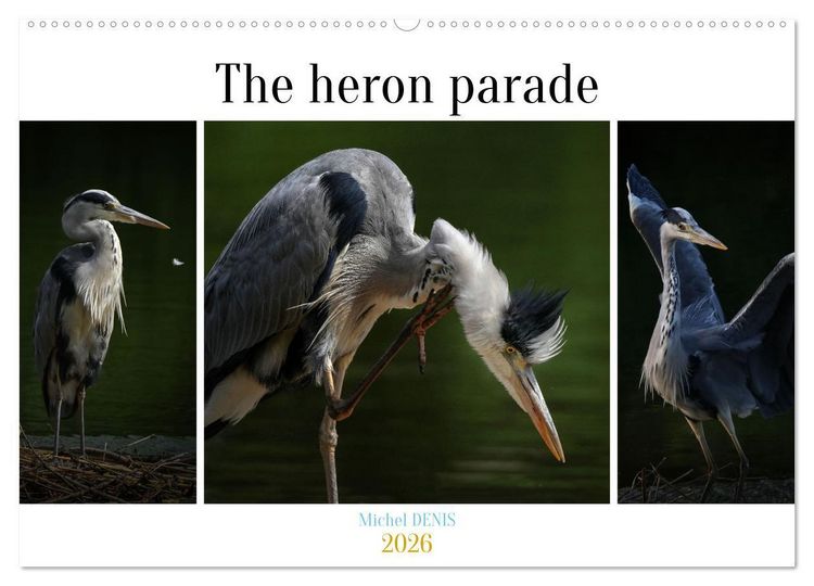 Produktbild: The heron parade (Wall Calendar 2026 DIN A2 landscape), CALVENDO 12 Month Wall Calendar