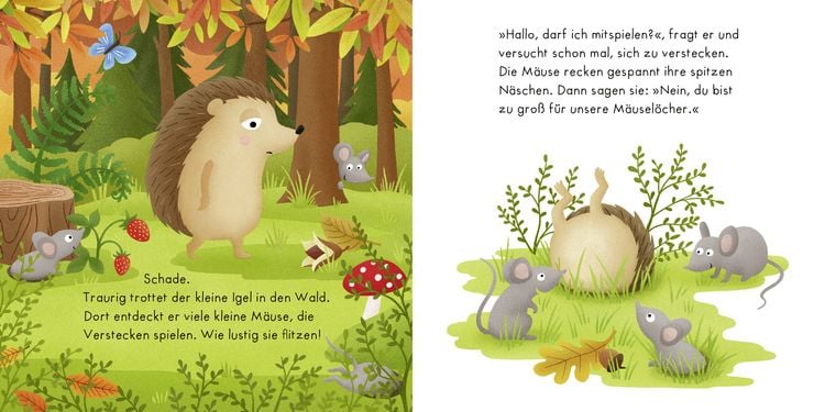 Produktbild: Igelchen findet Freunde