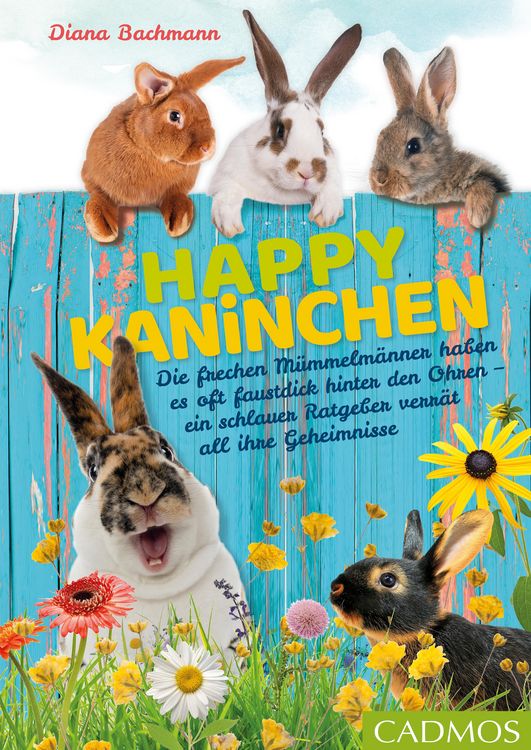 Produktbild: Happy Kaninchen