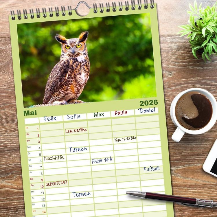 Produktbild: Familienplaner 2026 - Eulen - Wachsame und geheimnisvolle Augen mit 5 Spalten (Wandkalender, 21 x 45 cm) CALVENDO