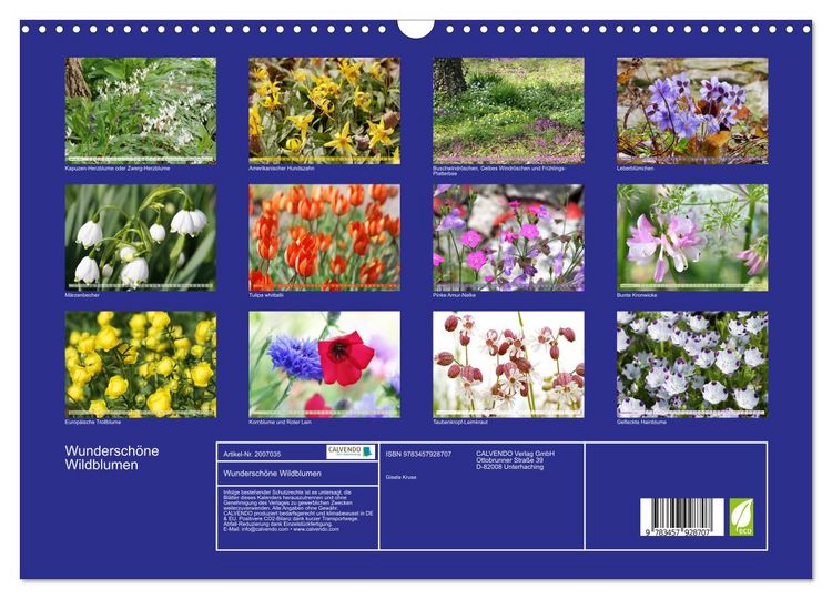 Produktbild: Wundersch&ouml;ne Wildblumen (Wandkalender 2026 DIN A3 quer), CALVENDO Monatskalender