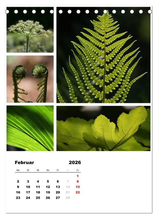 Produktbild: Bl&uuml;ten Collagen (Tischkalender 2026 DIN A5 hoch), CALVENDO Monatskalender