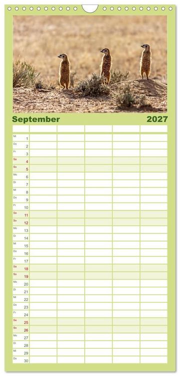 Produktbild: Familienplaner 2027 - Afrikas Tierwelt - Erdm&auml;nnchen mit 5 Spalten (Wandkalender, 21 x 45 cm) CALVENDO