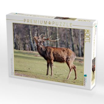 Produktbild: CALVENDO Puzzle Der Sikahirsch - Der kleine Asiat in unseren W&auml;ldern | 1000 Teile Lege-Gr&ouml;&szlig;e 64x48cm Foto-Puzzle f&uuml;r gl&uuml;ckliche Stunden