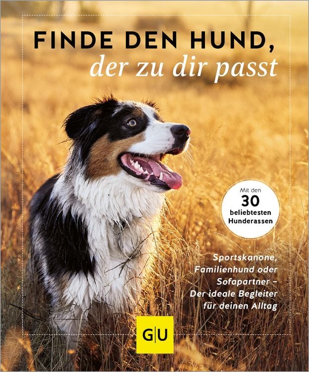 Produktbild: Finde den Hund, der zu dir passt