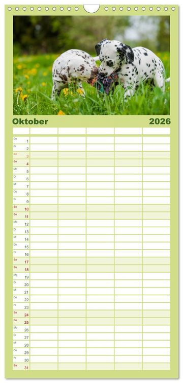 Produktbild: Familienplaner 2026 - Dalmatiner mit 5 Spalten (Wandkalender, 21 x 45 cm) CALVENDO