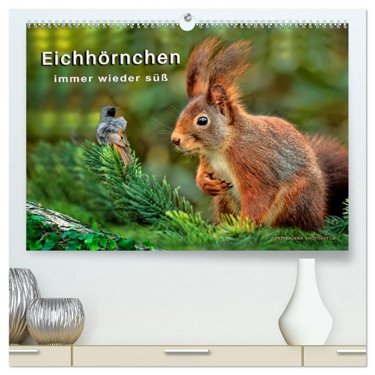 Produktbild: Eichh&ouml;rnchen - immer wieder s&uuml;&szlig; (hochwertiger Premium Wandkalender 2026 DIN A2 quer), Kunstdruck in Hochglanz