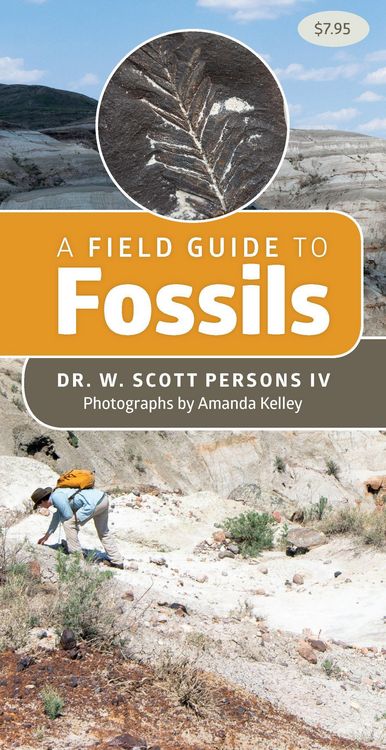 Produktbild: A Field Guide to Fossils
