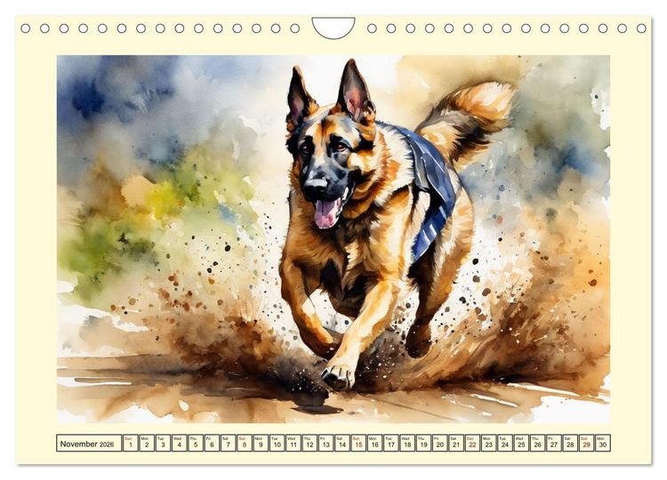 Produktbild: German Shepherds - classics around the globe (Wall Calendar 2026 DIN A4 landscape), CALVENDO 12 Month Wall Calendar