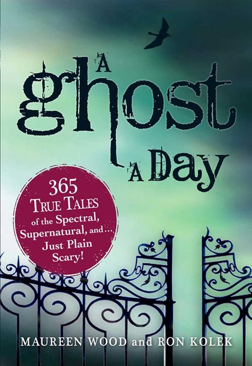 Produktbild: A Ghost a Day