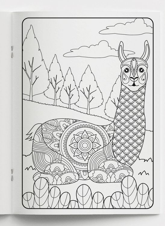 Produktbild: Mein Mandala Malbuch