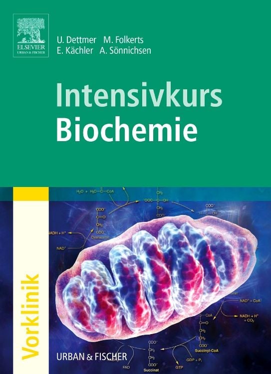 Bild vom Artikel Intensivkurs Biochemie vom Autor Ulf Dettmer