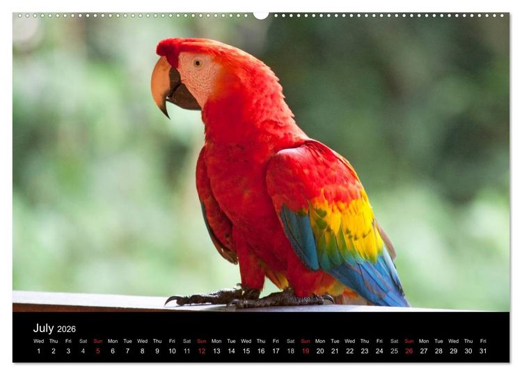 Produktbild: Peru - from the Andes to the Amazon / UK-Version (High Quality Premium Wall Calendar 2026 DIN A2 landscape),CALVENDO 12 Month Wall Calendar