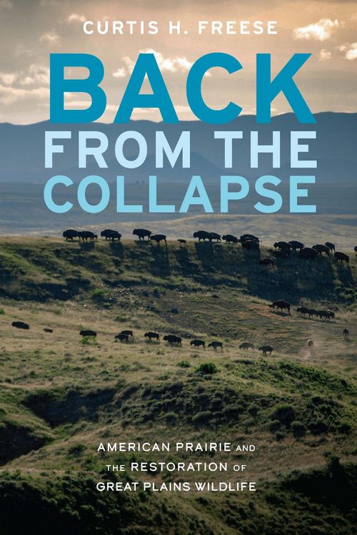 Produktbild: Back from the Collapse
