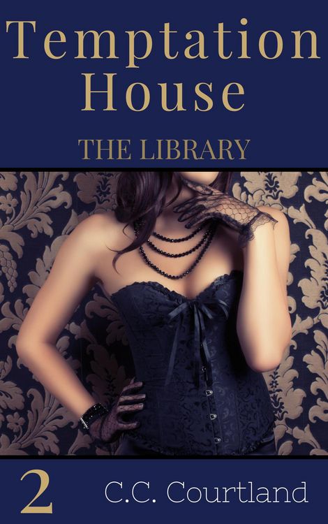 Produktbild: The Library (Temptation House Victorian Erotica, #2)