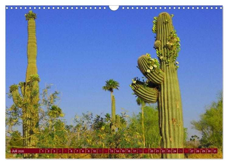 Produktbild: Arizona &bull; Impressionen (Wandkalender 2026 DIN A3 quer), CALVENDO Monatskalender