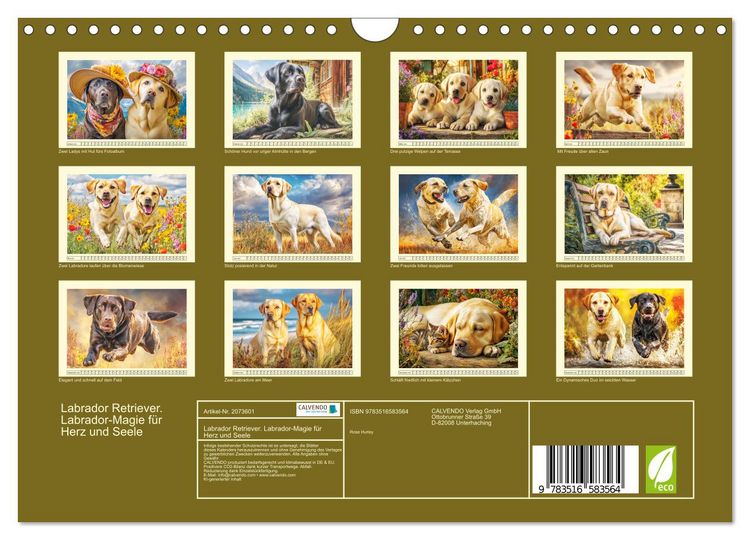 Produktbild: Labrador Retriever. Labrador-Magie f&uuml;r Herz und Seele (Wandkalender 2026 DIN A4 quer), CALVENDO Monatskalender