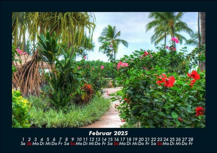 Produktbild: Pflanzen und Bl&uuml;ten 2025 Fotokalender DIN A5