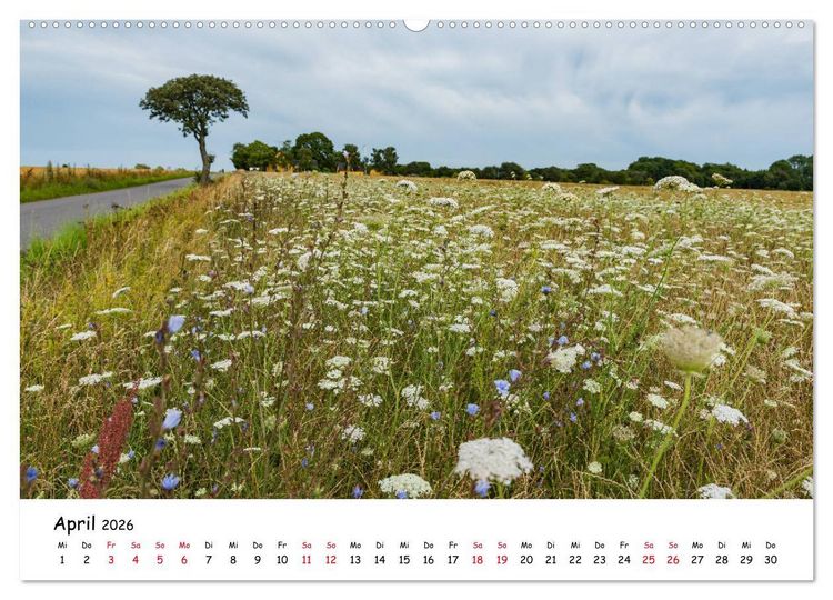 Produktbild: Bornholm 2026 Ein Jahr im Sommer (Wandkalender 2026 DIN A2 quer), CALVENDO Monatskalender