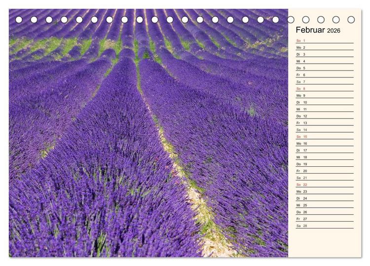 Produktbild: Lavendel (Tischkalender 2026 DIN A5 quer), CALVENDO Monatskalender