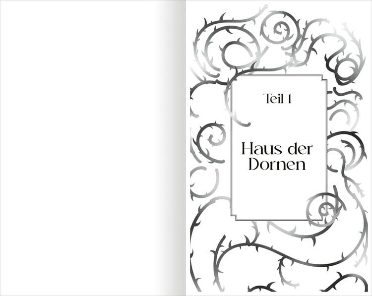 The North Wind – Reich aus Eis und Schatten (The Four Winds 1)