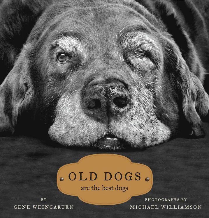 Produktbild: Old Dogs