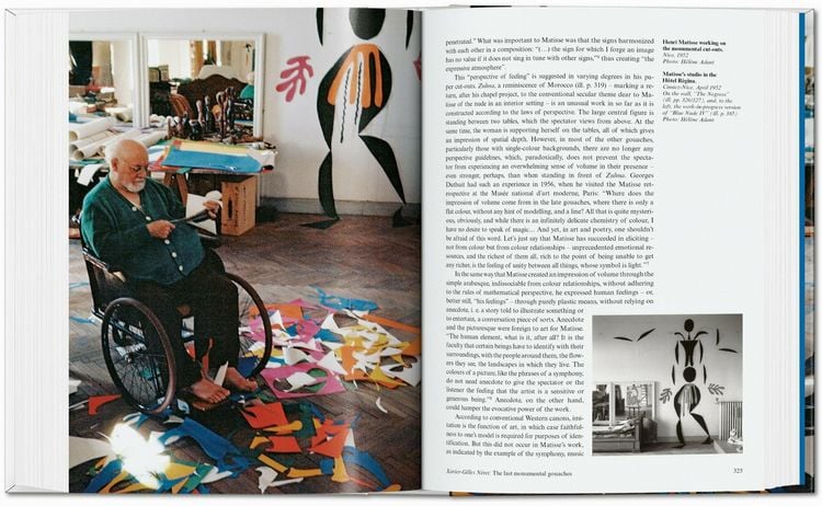 Produktbild: Matisse