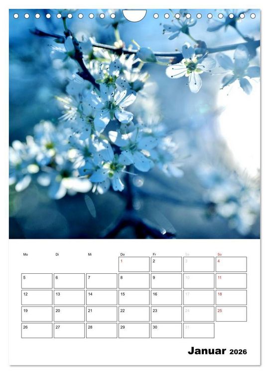 Produktbild: Zauberhafte Bl&uuml;tenwelt / Planer (Wandkalender 2026 DIN A4 hoch), CALVENDO Monatskalender