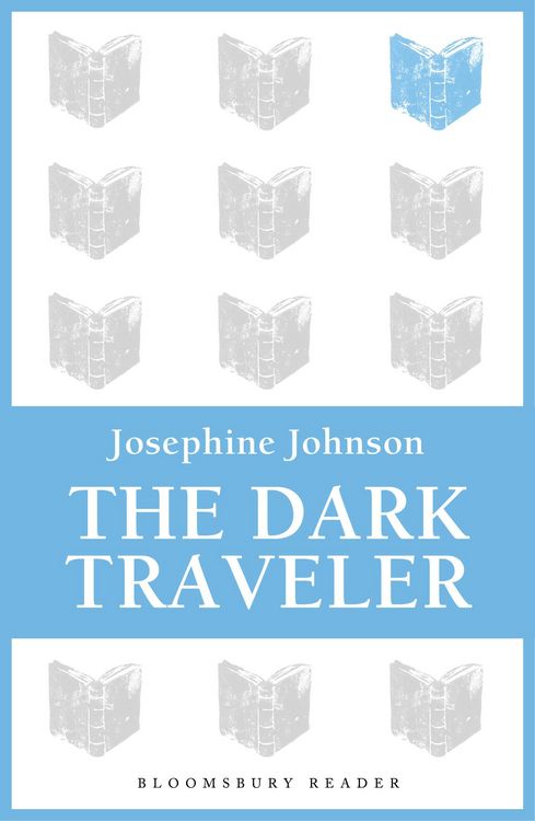 Produktbild: The Dark Traveler