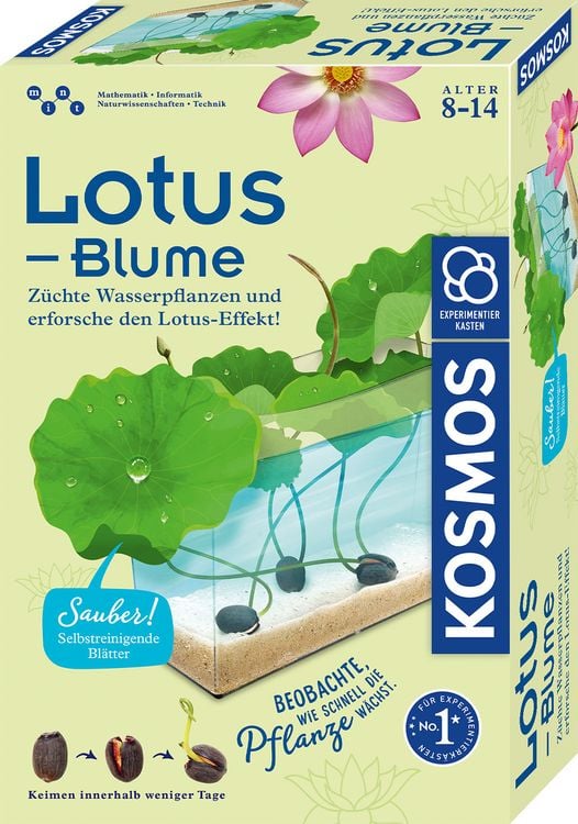 Bild vom Artikel KOSMOS - Lotus-Blume vom Autor 