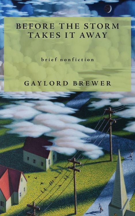 Produktbild: Before the Storm Takes It Away