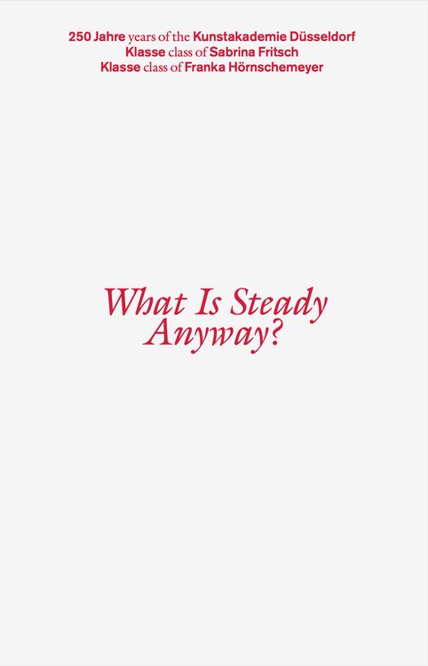 Produktbild: What Is Steady Anyway?