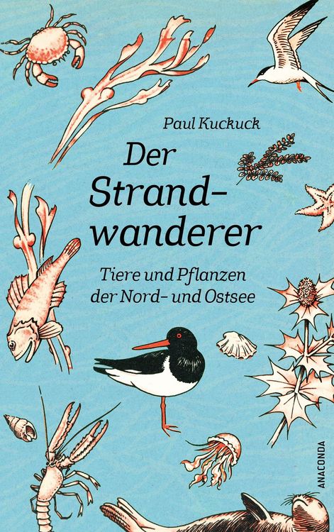 Produktbild: Der Strandwanderer. Tiere und Pflanzen der Nord- und Ostsee